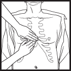 Locate the sternum